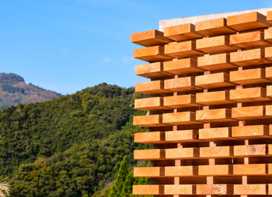promad madera (8)